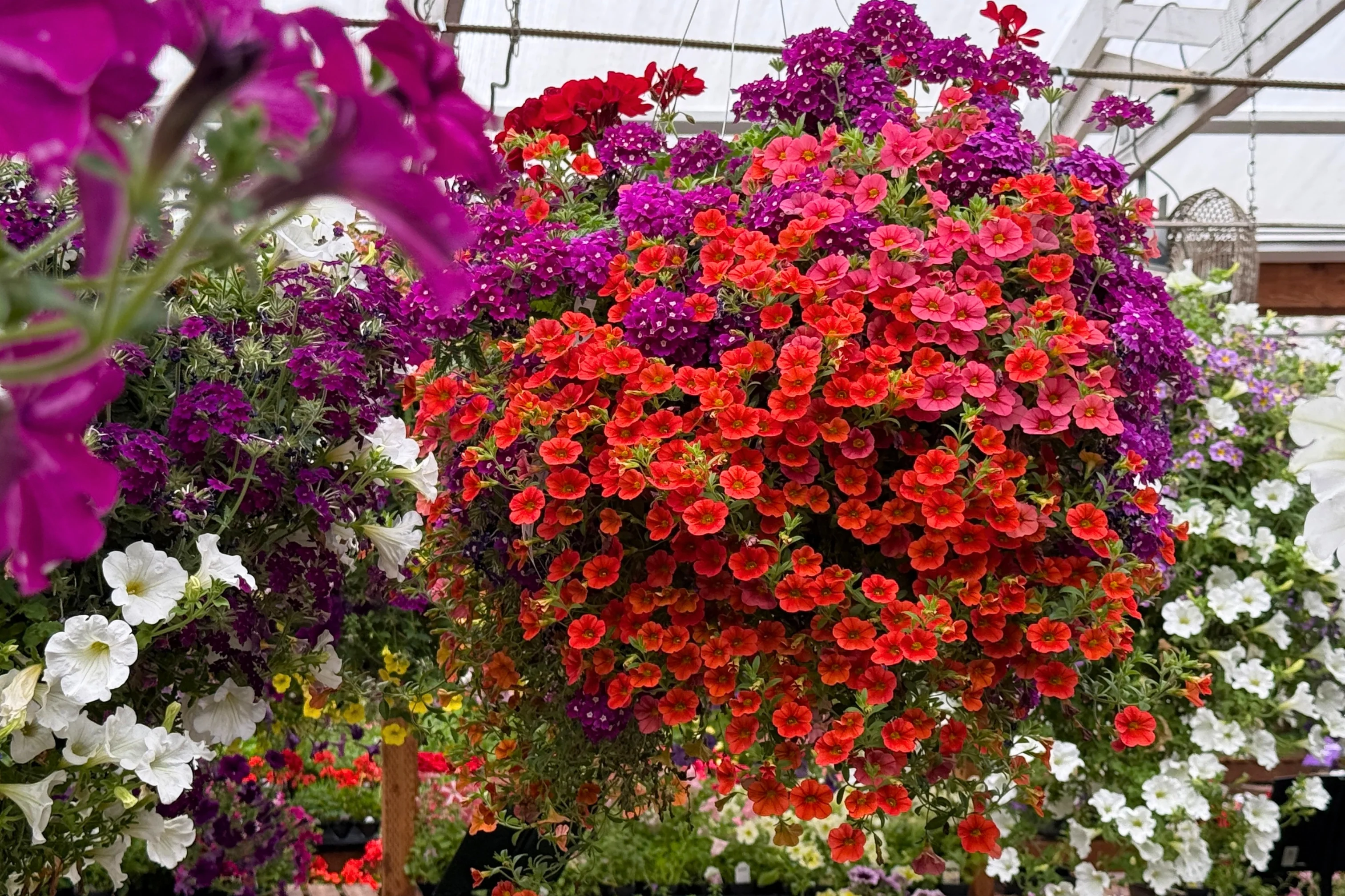 Bring Your Garden to Life