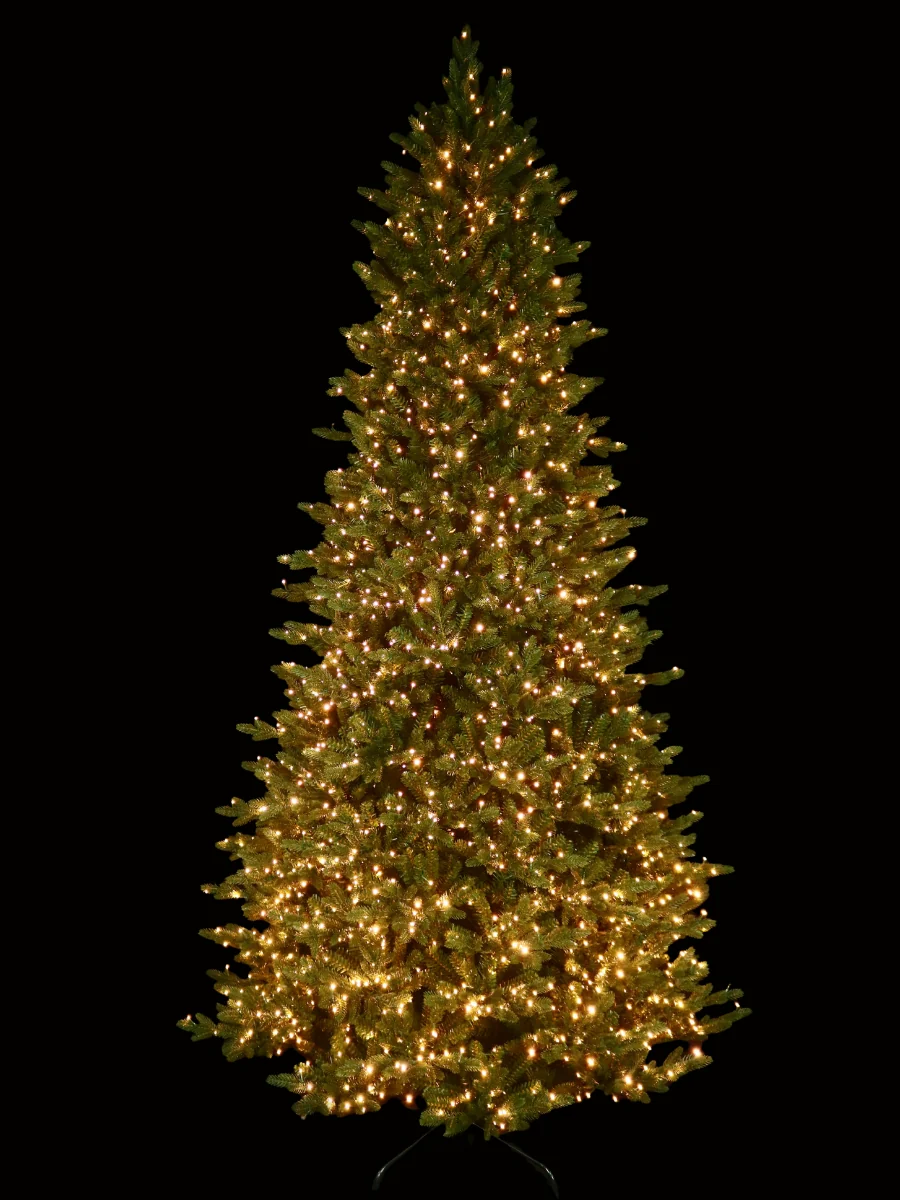 Fraser Supreme Fir 9' - Image 3