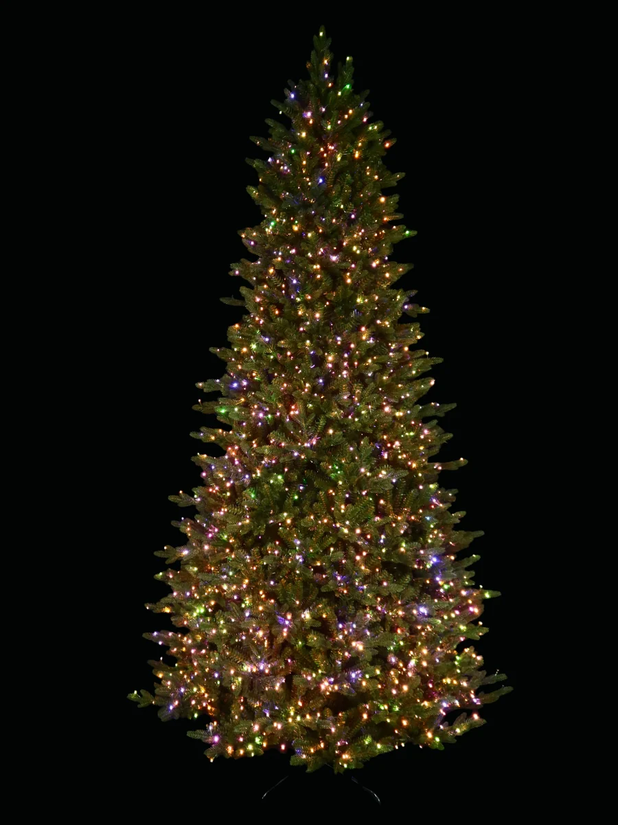 Fraser Supreme Fir 9' - Image 4