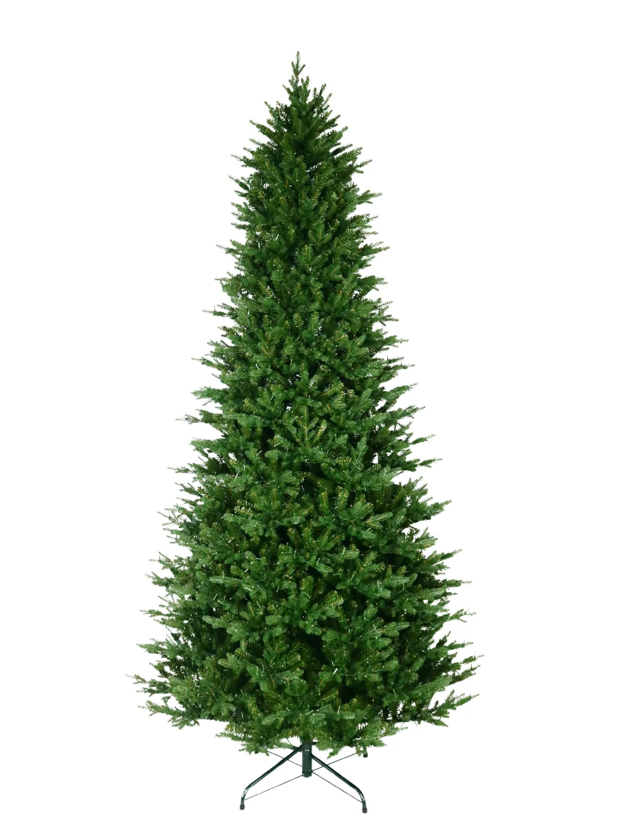 Fraser Supreme Fir 9' - Image 5