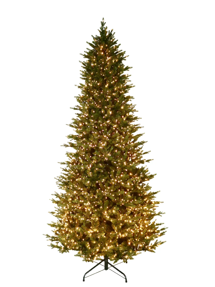 Fraser Supreme Fir 9' - Image 6