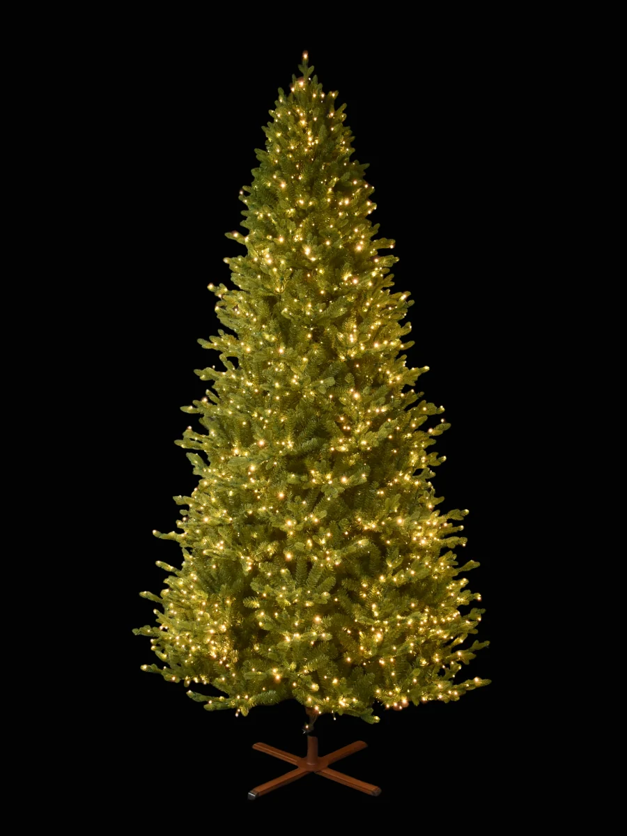Balsam Fir 9' - Image 3