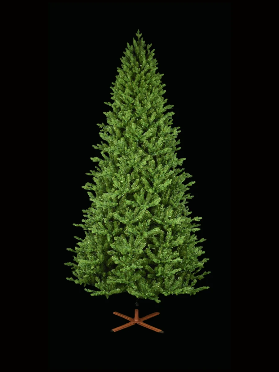 Balsam Fir 9' - Image 4