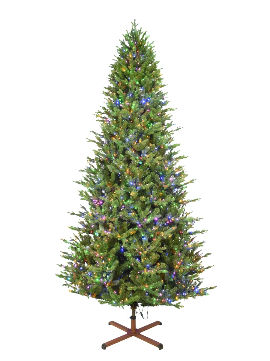 Balsam Fir 9' - Image 6