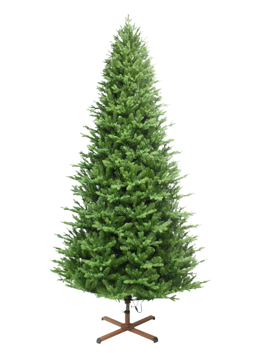 Balsam Fir 9' - Image 7