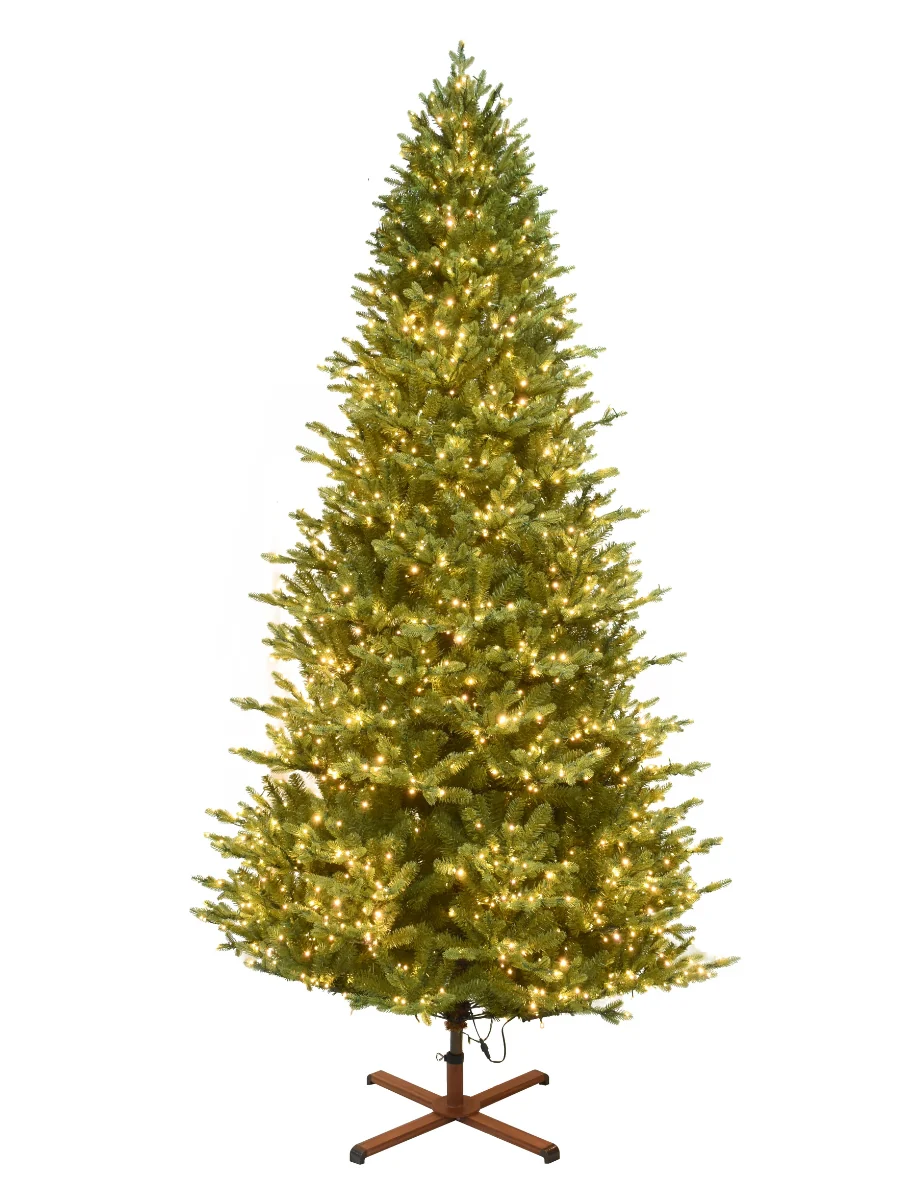 Balsam Fir 9' - Image 8