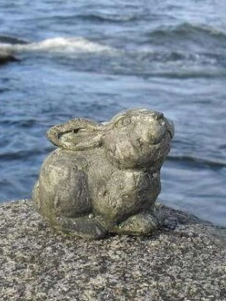 Bunny - Image 2