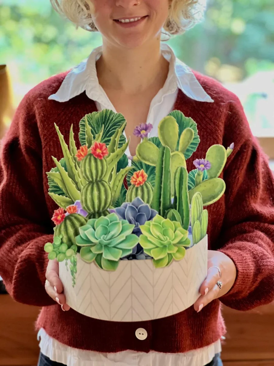 Cactus Garden Pop-Up Botanicals - Image 3