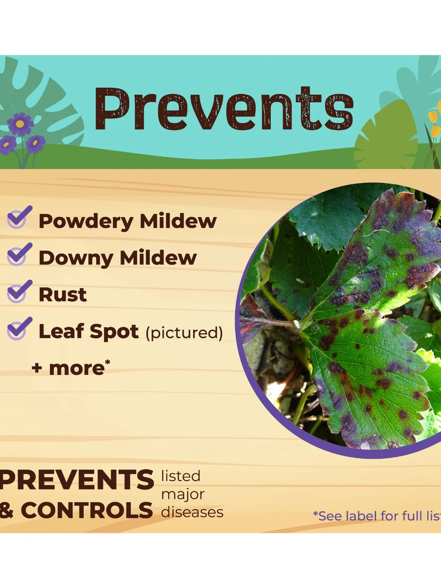 CAPTAIN JACK'S™ Neem Max - Image 4