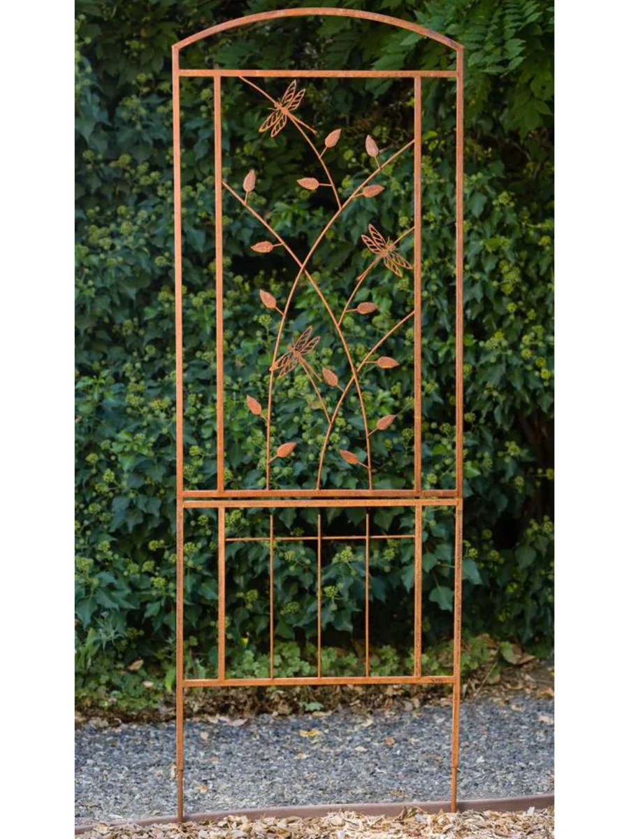 Dragonfly Trellis - Image 3