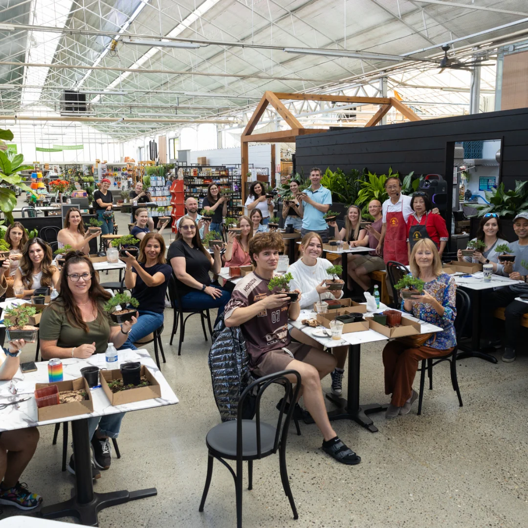 Intermediate Bonsai Workshop, Puyallup, 11am, Saturday, March 7th - Image 4