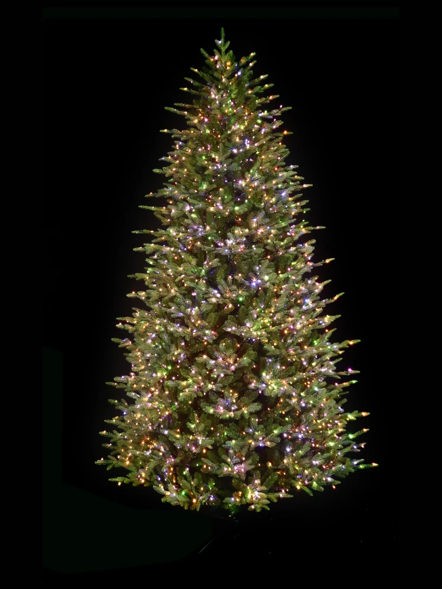 Kensington Fir 9' - Image 3