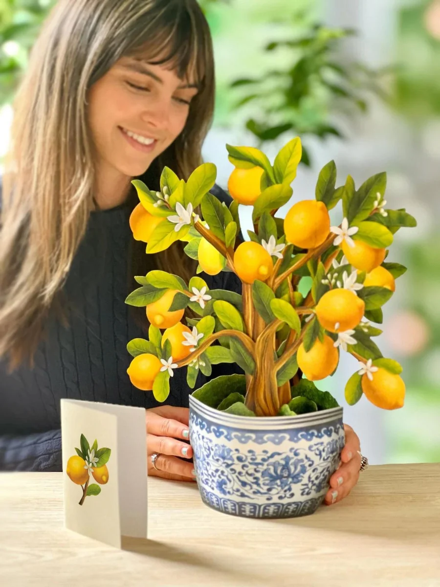 Lemon Blossom Tree Pop-Up Houseplant Card - Image 3