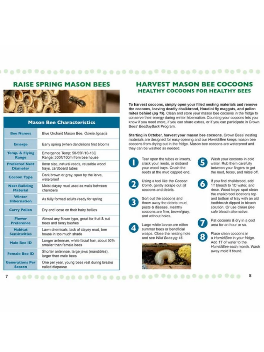 Native Bee Guide Third Edition - Image 3