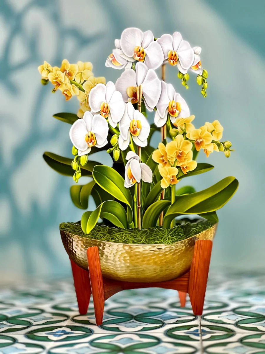 Serenity Orchid Pop-Up Flower Bouquet - Image 3