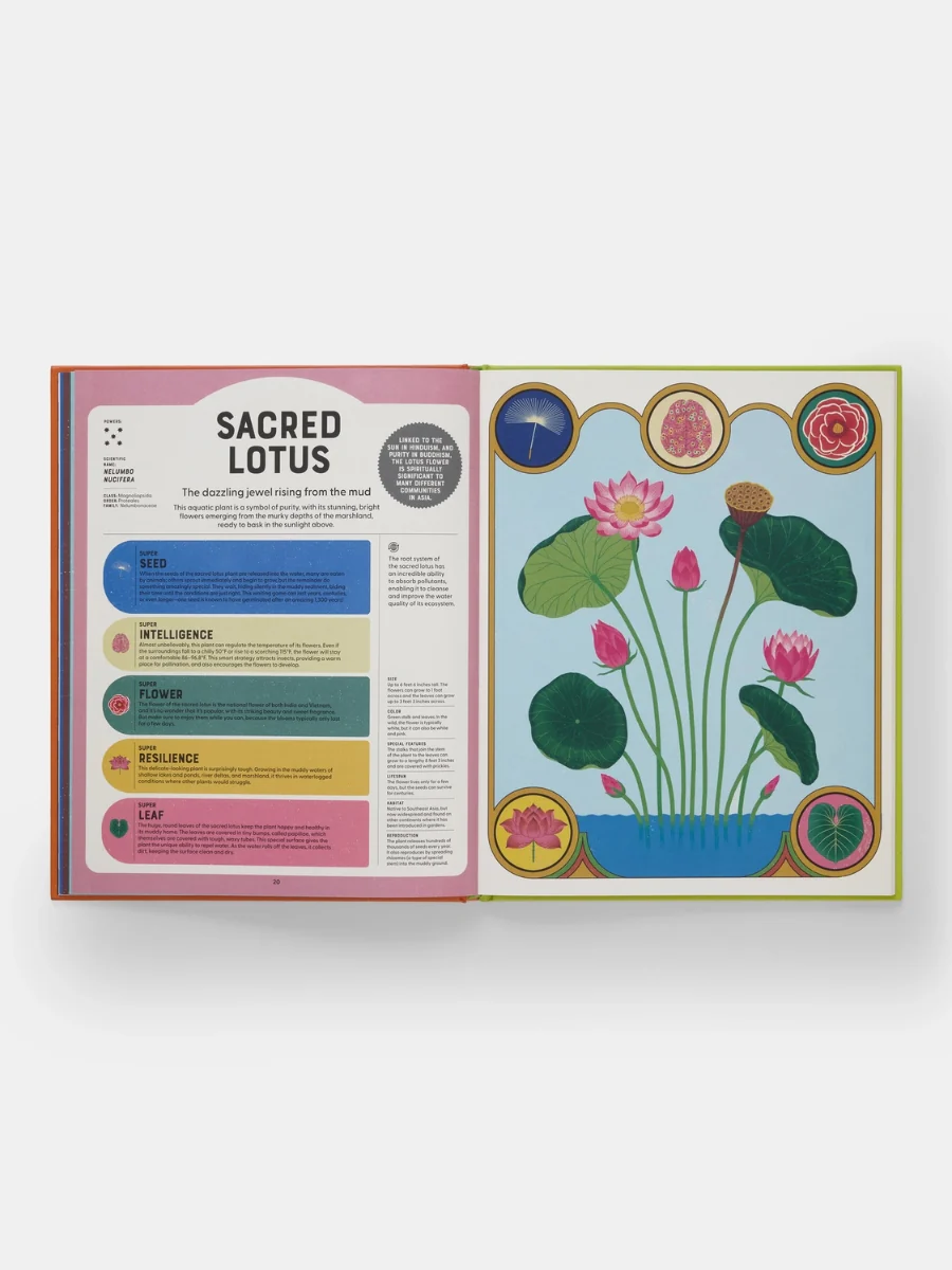 Superpowered Plants: Meet the Smartest, Strongest, and Sneakiest Plants - Image 4