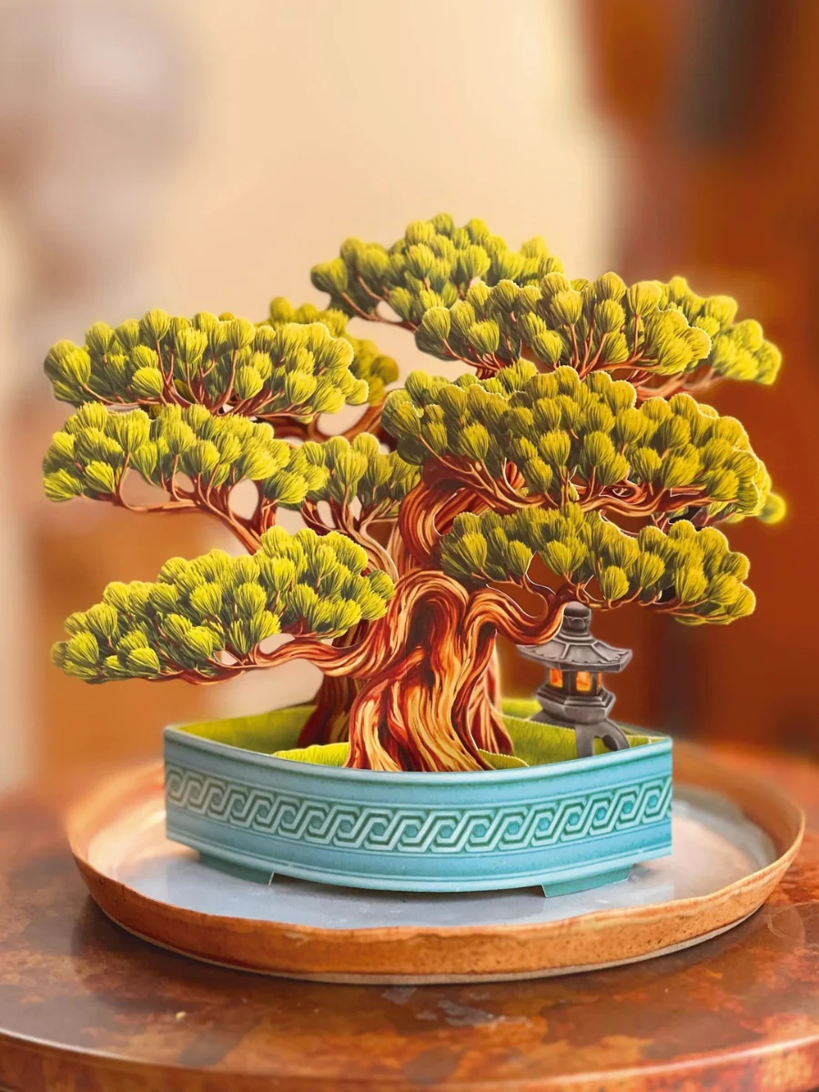 Wisdom Bonsai Pop-Up Houseplant - Image 3
